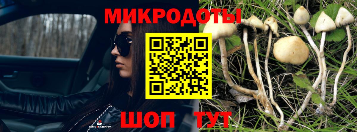Галлюциногенные грибы мухоморы Моздок