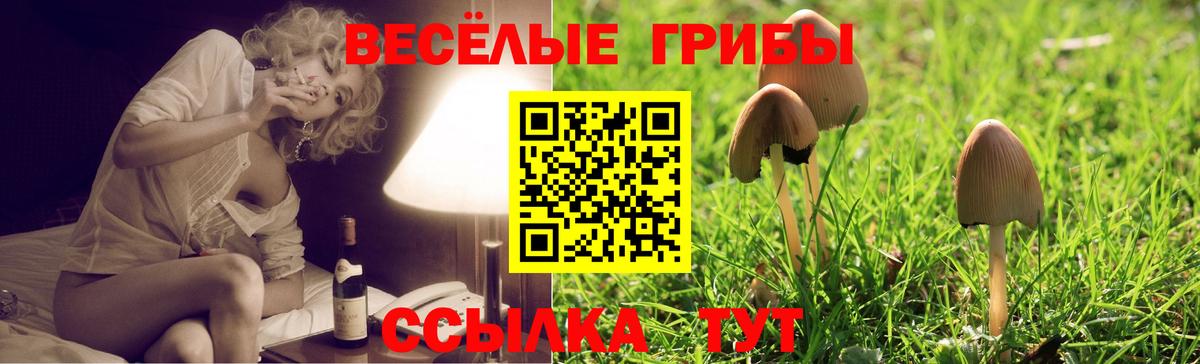 ГАШ  Вход с VPN  МАРИХУАНА  КОКАИН  Героин  Гашиш  Моздок  Меф МЯУ МЯУ кристаллы  Экстази 
