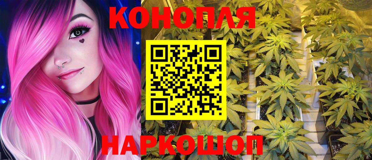 Моздок  Каннабис план  Бошки Шишки VHQ  Канабис семена  Вход с VPN  Конопля VHQ 